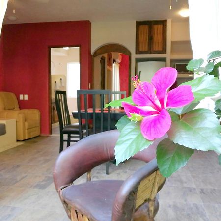 Ceiba Studios Zihuatanejo Extérieur photo