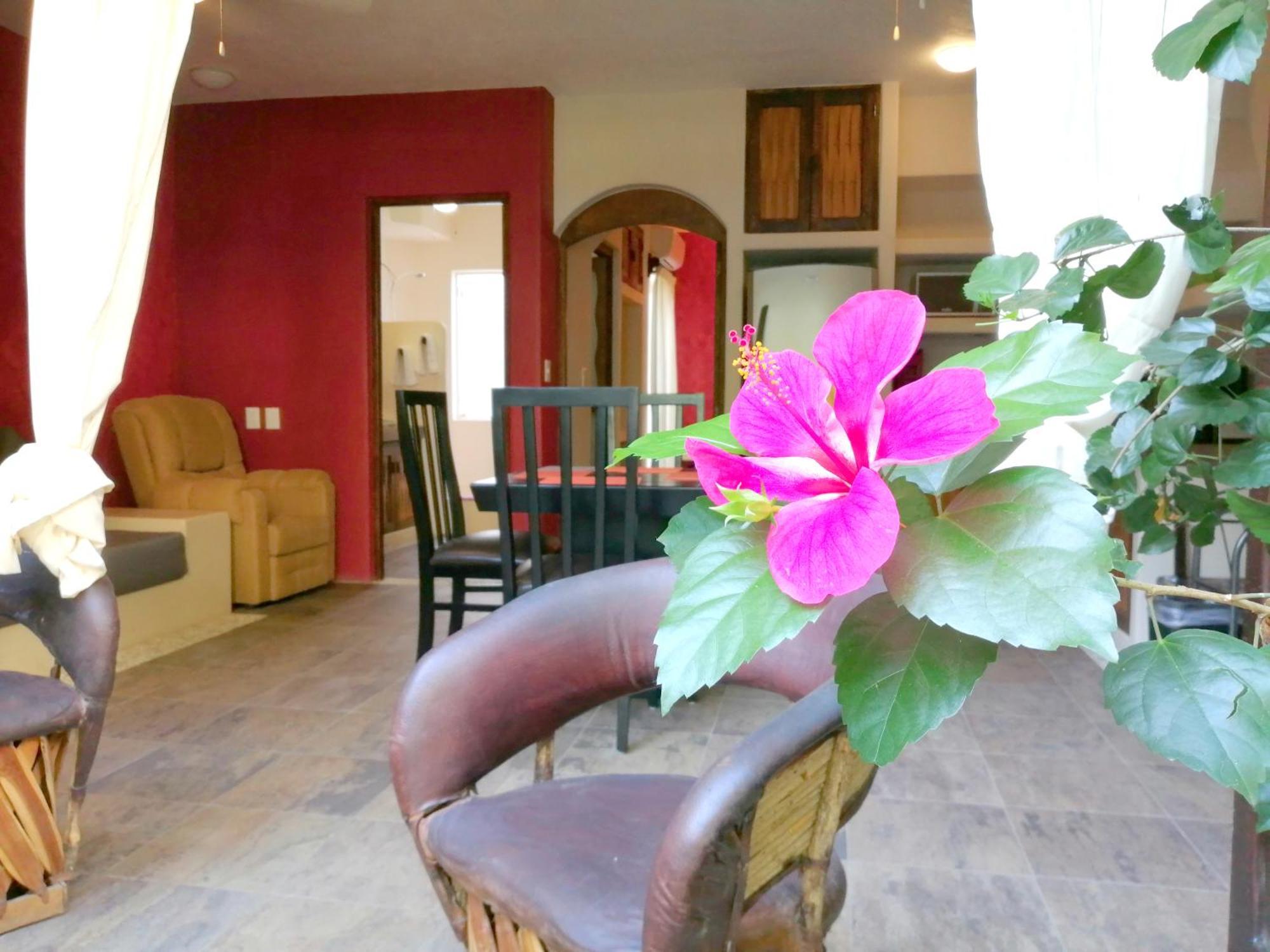 Ceiba Studios Zihuatanejo Extérieur photo