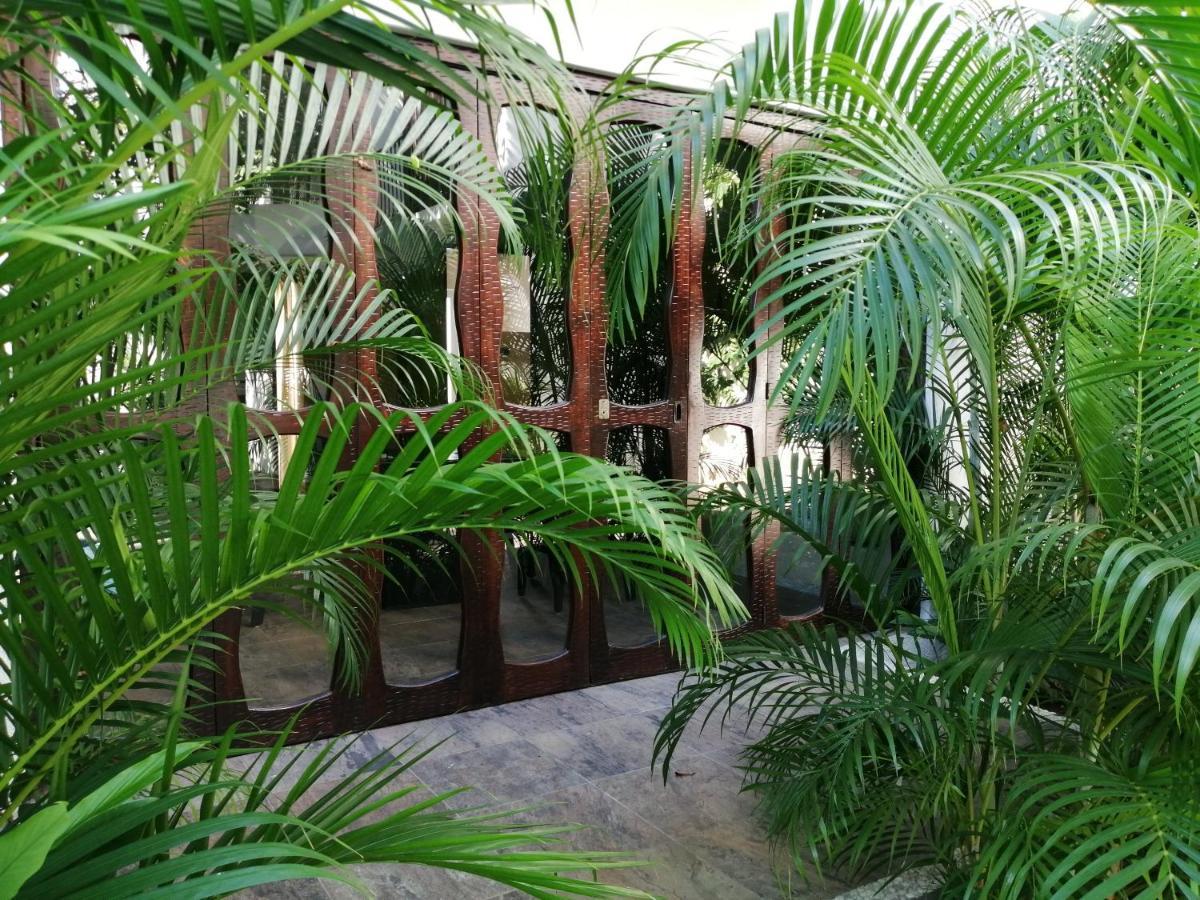 Ceiba Studios Zihuatanejo Extérieur photo