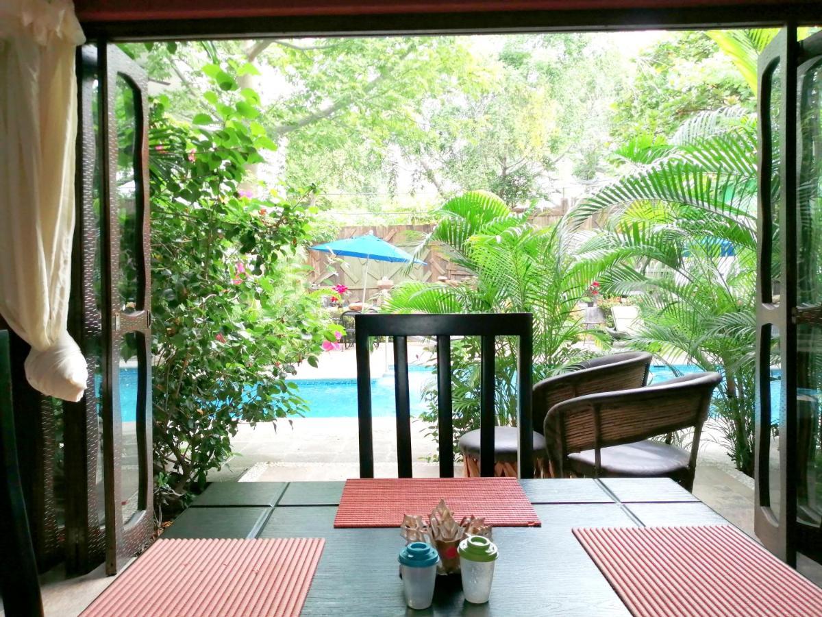 Ceiba Studios Zihuatanejo Extérieur photo