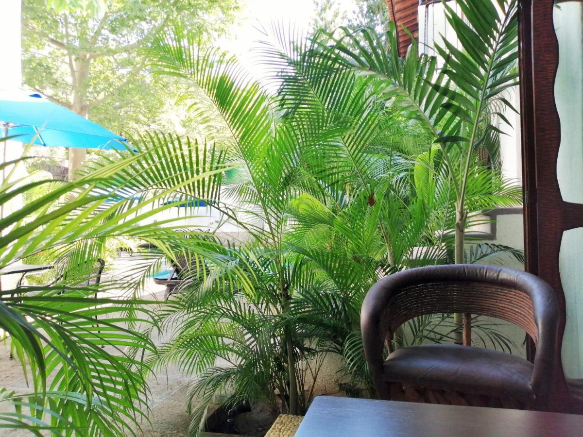Ceiba Studios Zihuatanejo Extérieur photo